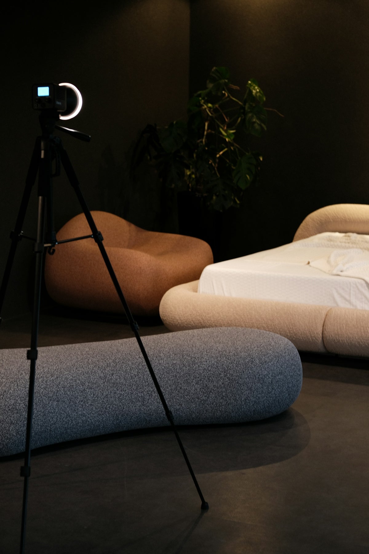 Tripod with ring light in a modern bedroom