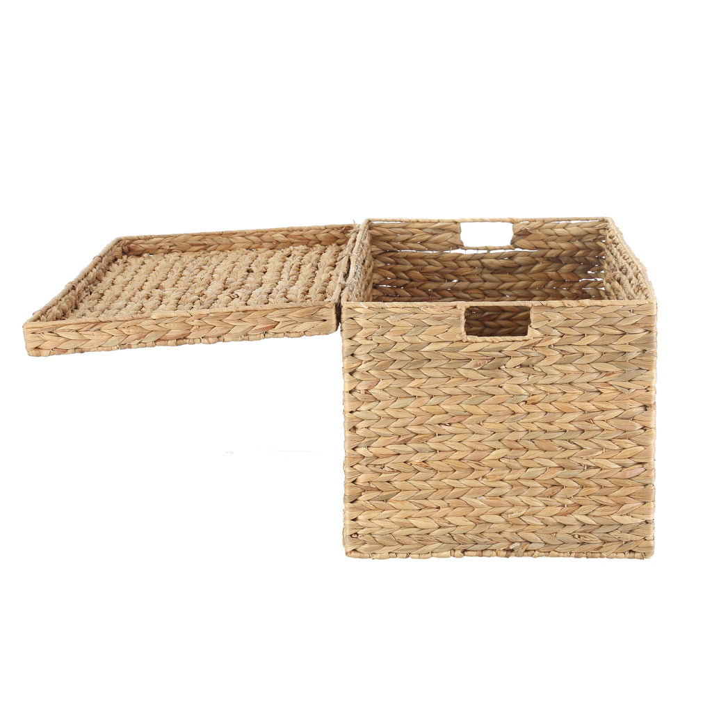 Velmora™ XL Hyacinth Storage Trunk