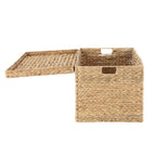 Velmora™ XL Hyacinth Storage Trunk