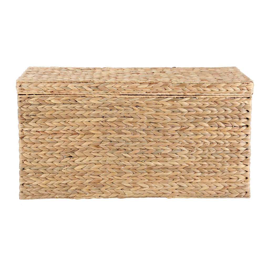 Velmora™ XL Hyacinth Storage Trunk