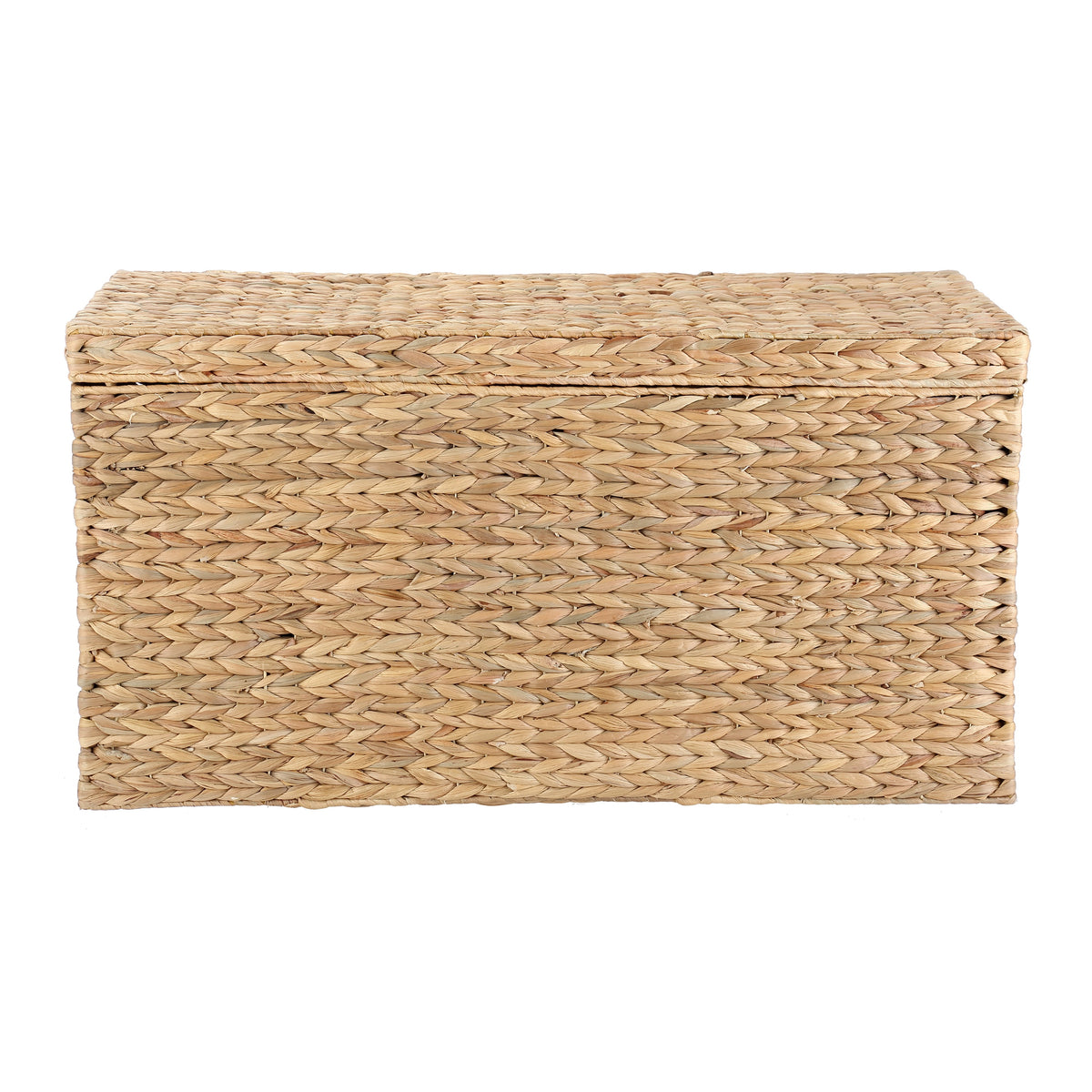 Velmora™ XL Hyacinth Storage Trunk