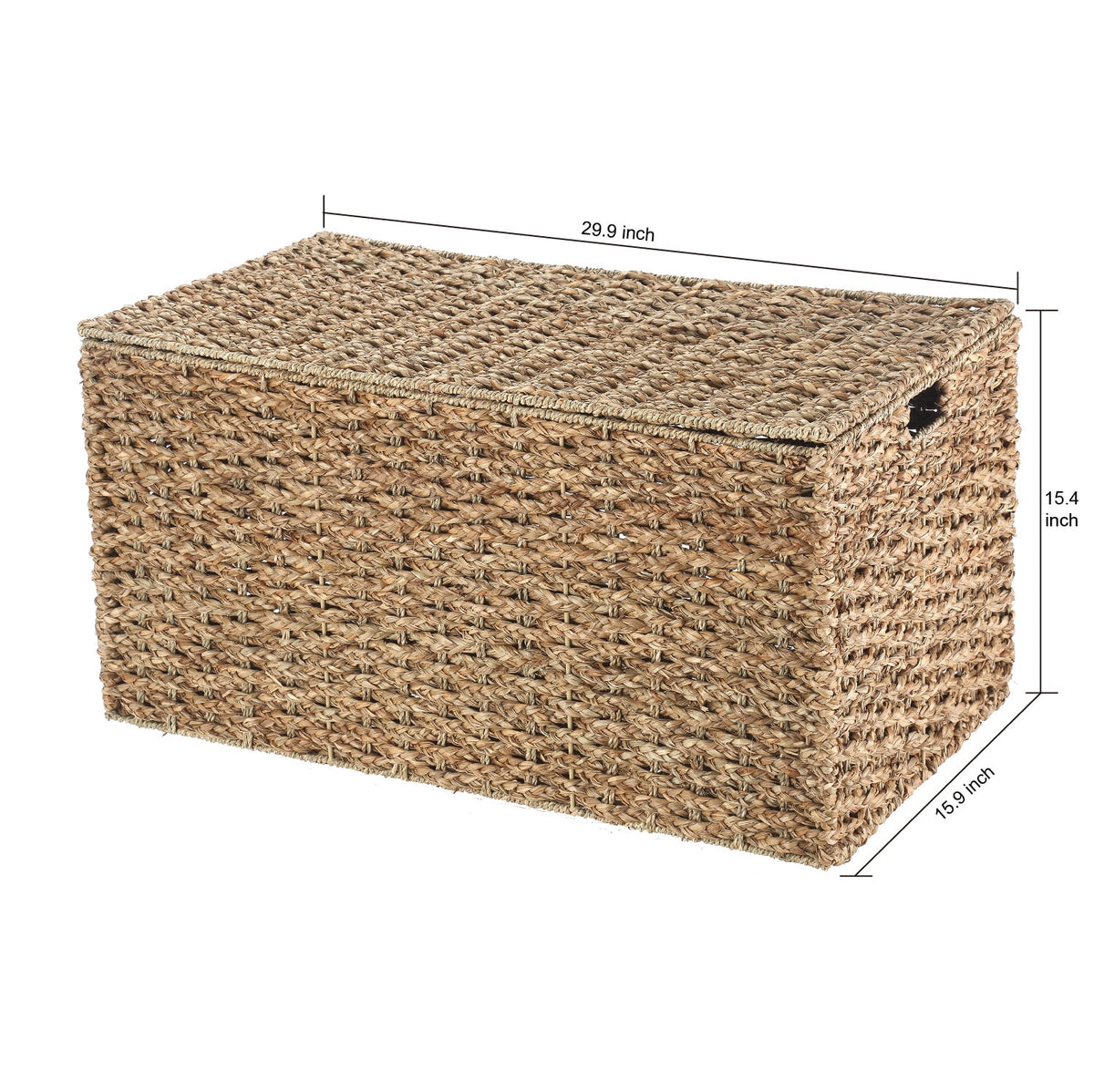 Velmora™ XL Braided Seagrass Storage Trunk