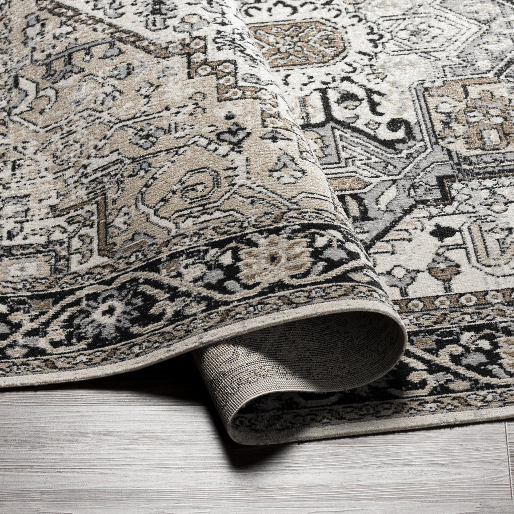 Velmora™ Black & Ivory Persian Indoor Area Rug, 5 ft x 7 ft
