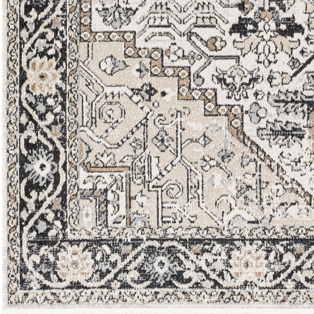 Velmora™ Black & Ivory Persian Indoor Area Rug, 5 ft x 7 ft