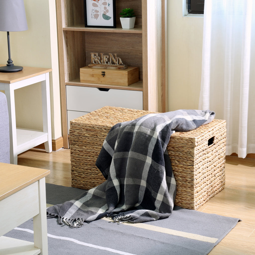 Velmora™ XL Hyacinth Storage Trunk