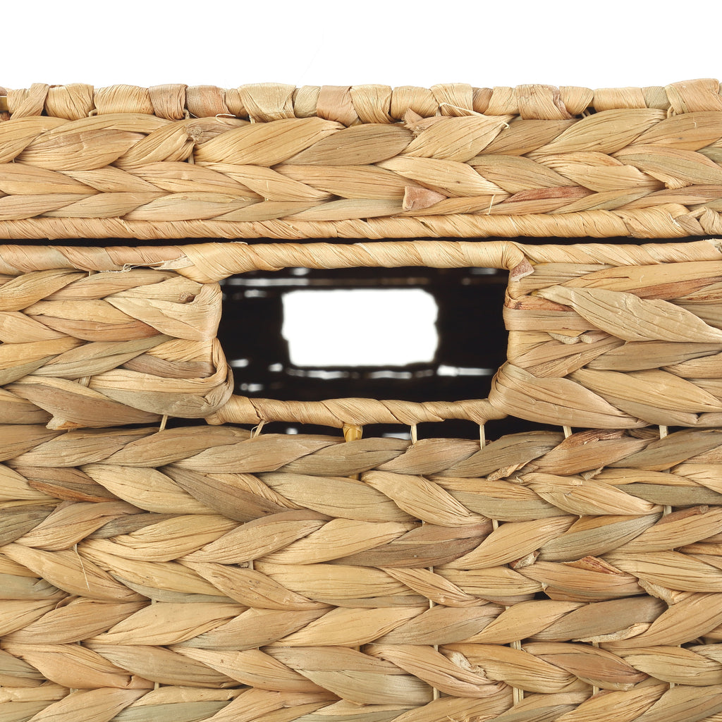 Velmora™ XL Hyacinth Storage Trunk