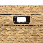 Velmora™ XL Hyacinth Storage Trunk