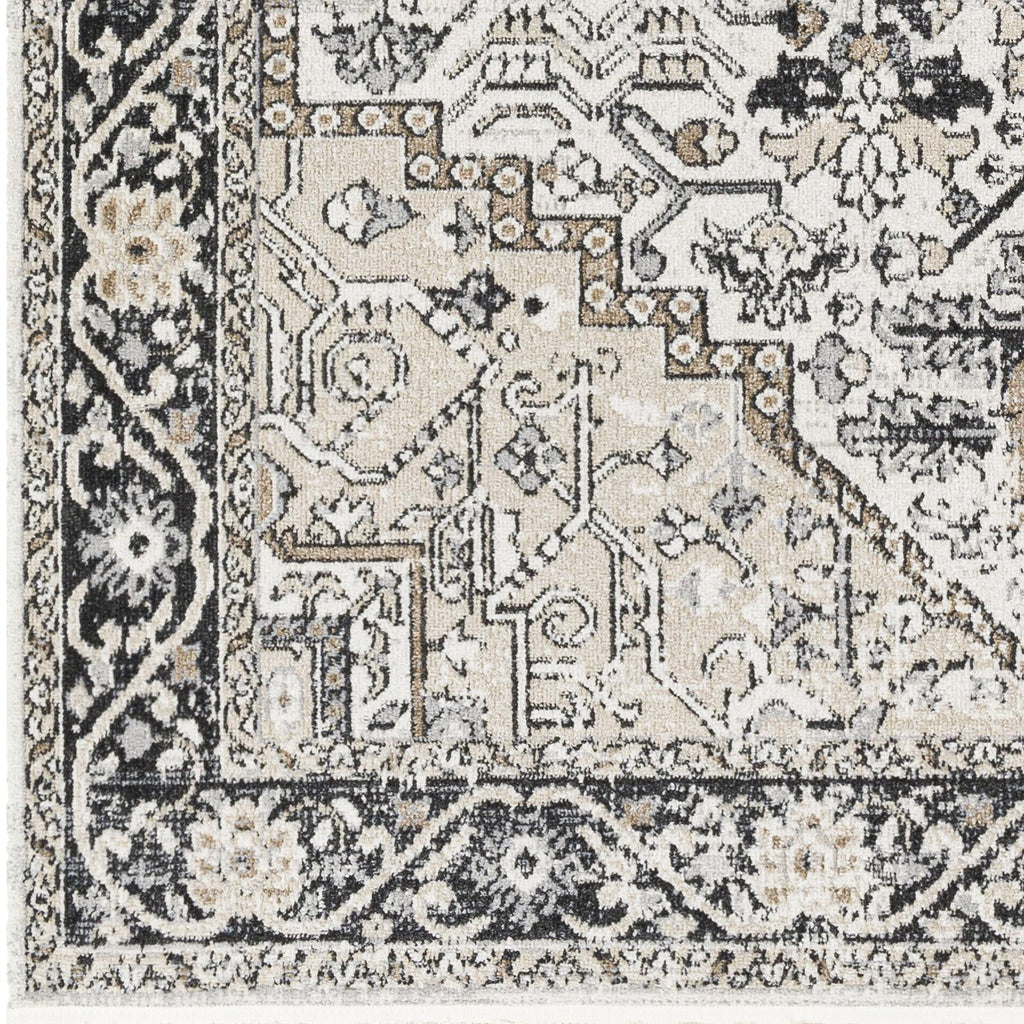 Velmora™ Black & Ivory Persian Indoor Area Rug, 5 ft x 7 ft