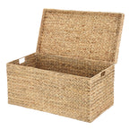 Velmora™ XL Hyacinth Storage Trunk