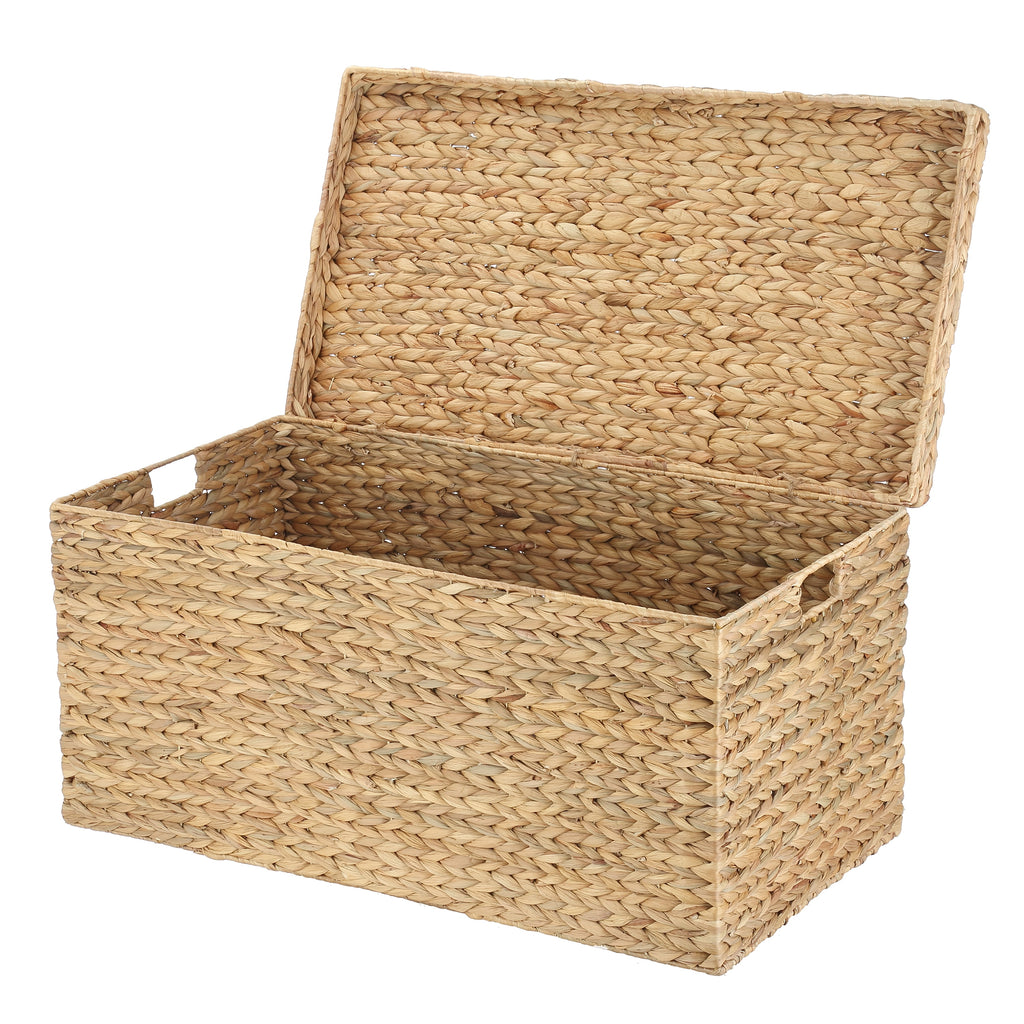 Velmora™ XL Hyacinth Storage Trunk