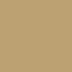 Velmora™ Nola Arch Bookcase, Gold Finish