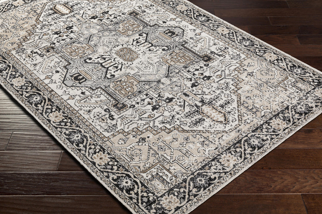 Velmora™ Black & Ivory Persian Indoor Area Rug, 5 ft x 7 ft