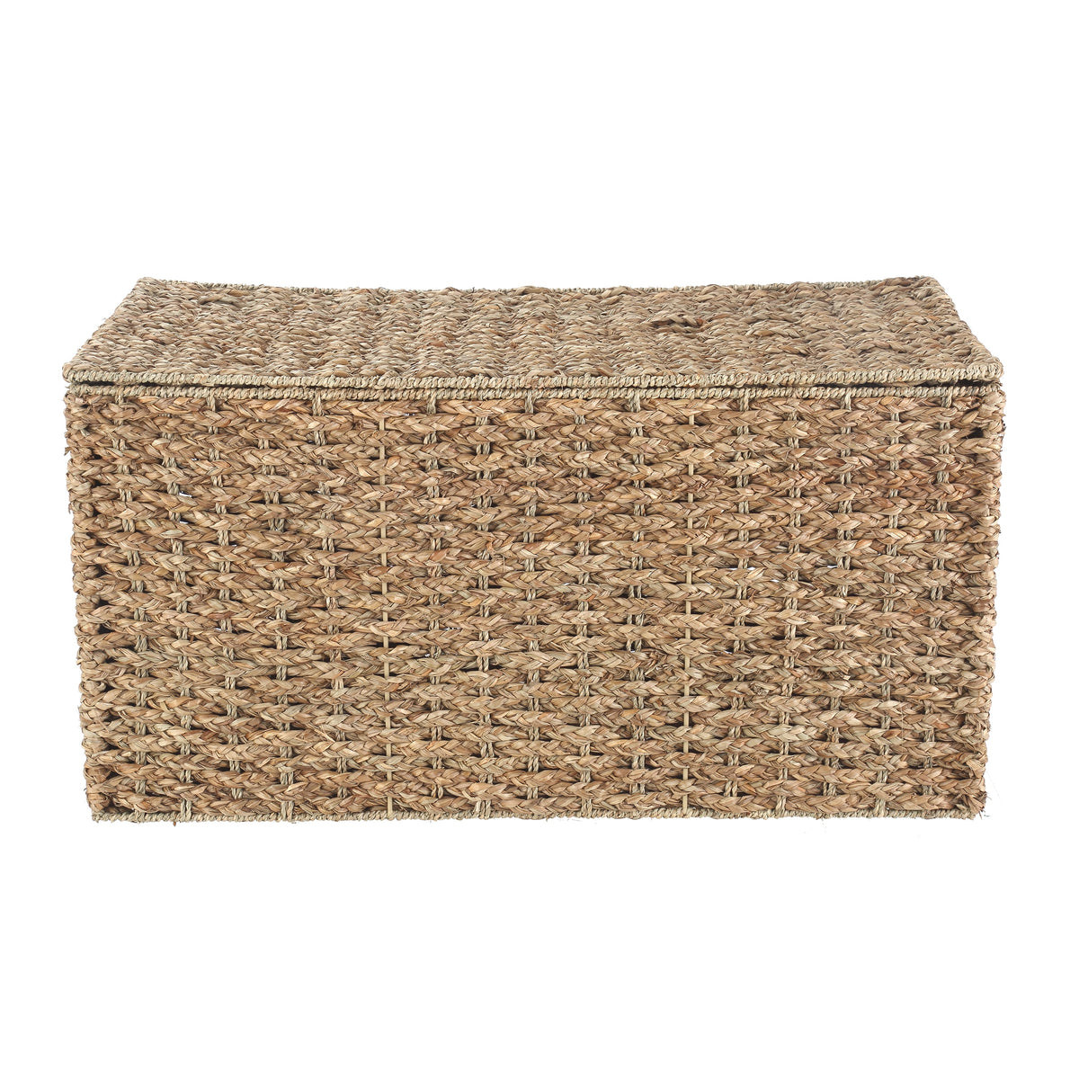 Velmora™ XL Braided Seagrass Storage Trunk