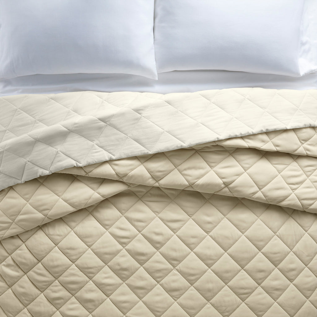Velmora™ Down Alternative Comforter, Full/Queen - Blue, Reversible