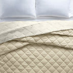 Velmora™ Down Alternative Comforter, Full/Queen - Blue, Reversible