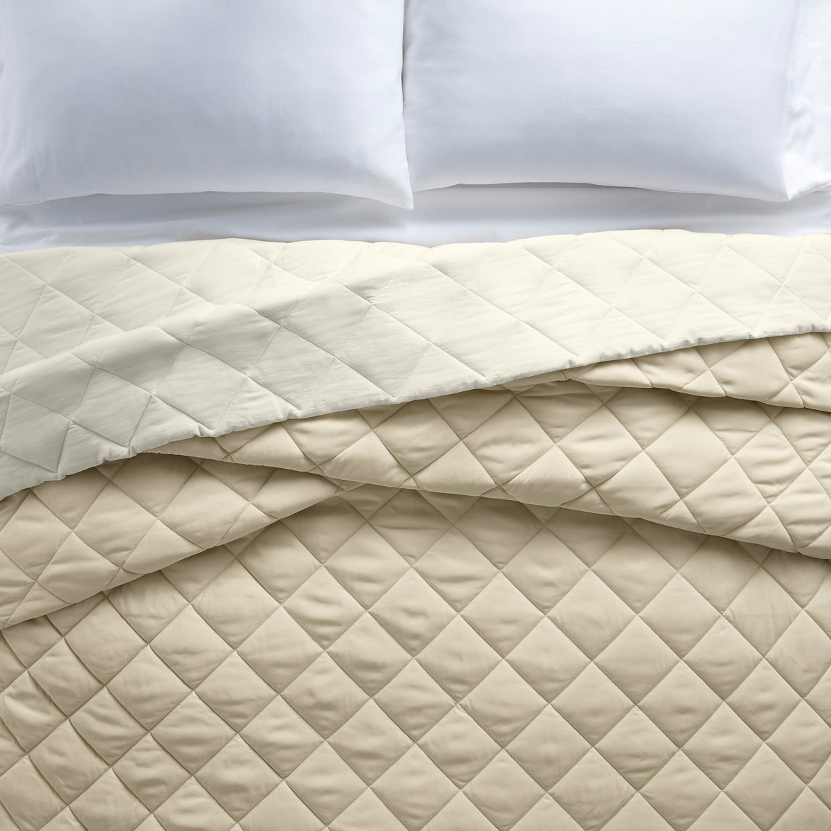 Velmora™ Down Alternative Comforter, Full/Queen - Blue, Reversible
