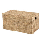 Velmora™ XL Hyacinth Storage Trunk