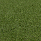 Velmora™ (2 pack) Green Faux Grass Outdoor Rug, 7 ft x 10 ft
