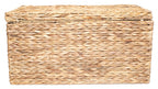 Velmora™ Natural Water Hyacinth Storage Trunk, Large