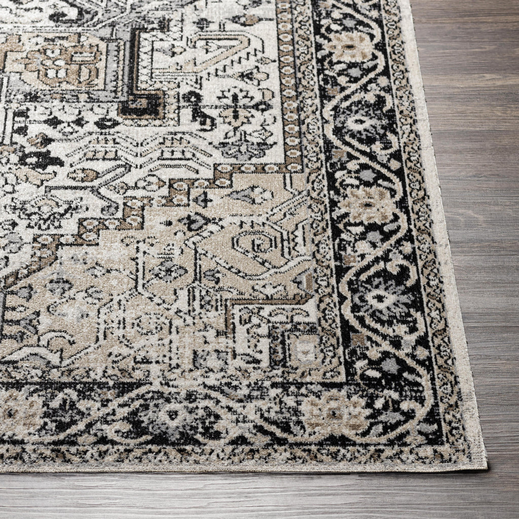 Velmora™ Black & Ivory Persian Indoor Area Rug, 5 ft x 7 ft