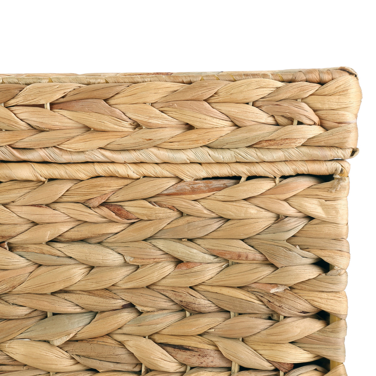 Velmora™ XL Hyacinth Storage Trunk