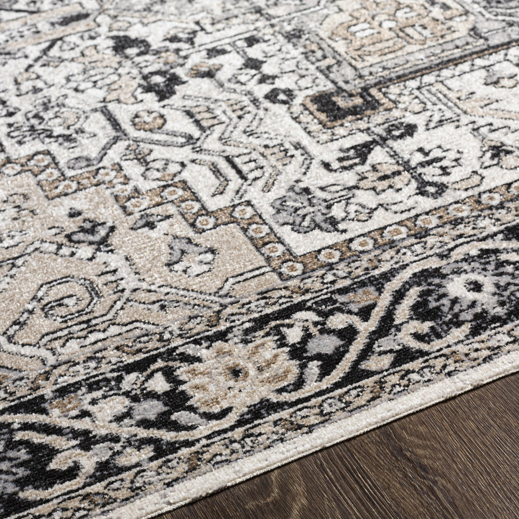 Velmora™ Black & Ivory Persian Indoor Area Rug, 5 ft x 7 ft