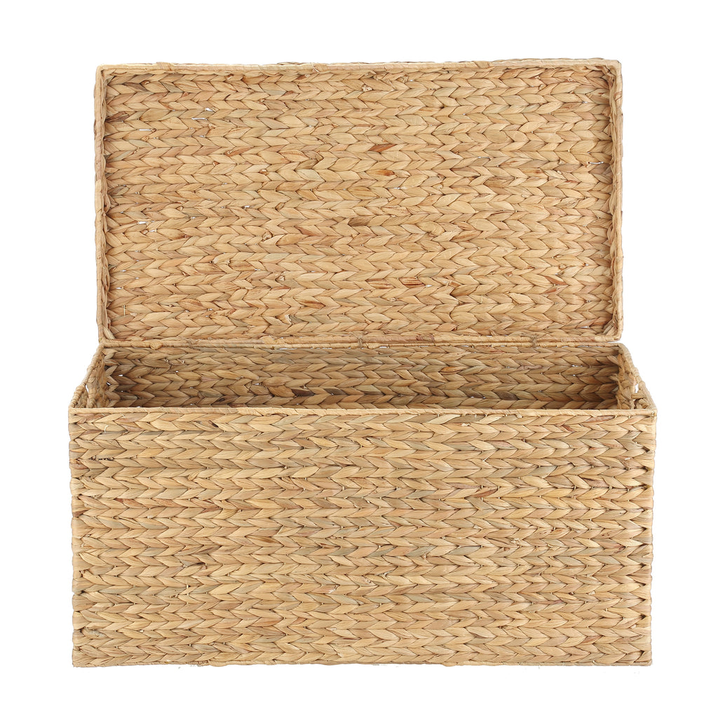 Velmora™ XL Hyacinth Storage Trunk