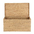 Velmora™ XL Hyacinth Storage Trunk