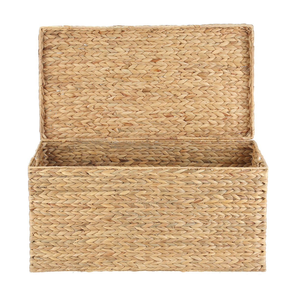 Velmora™ XL Hyacinth Storage Trunk