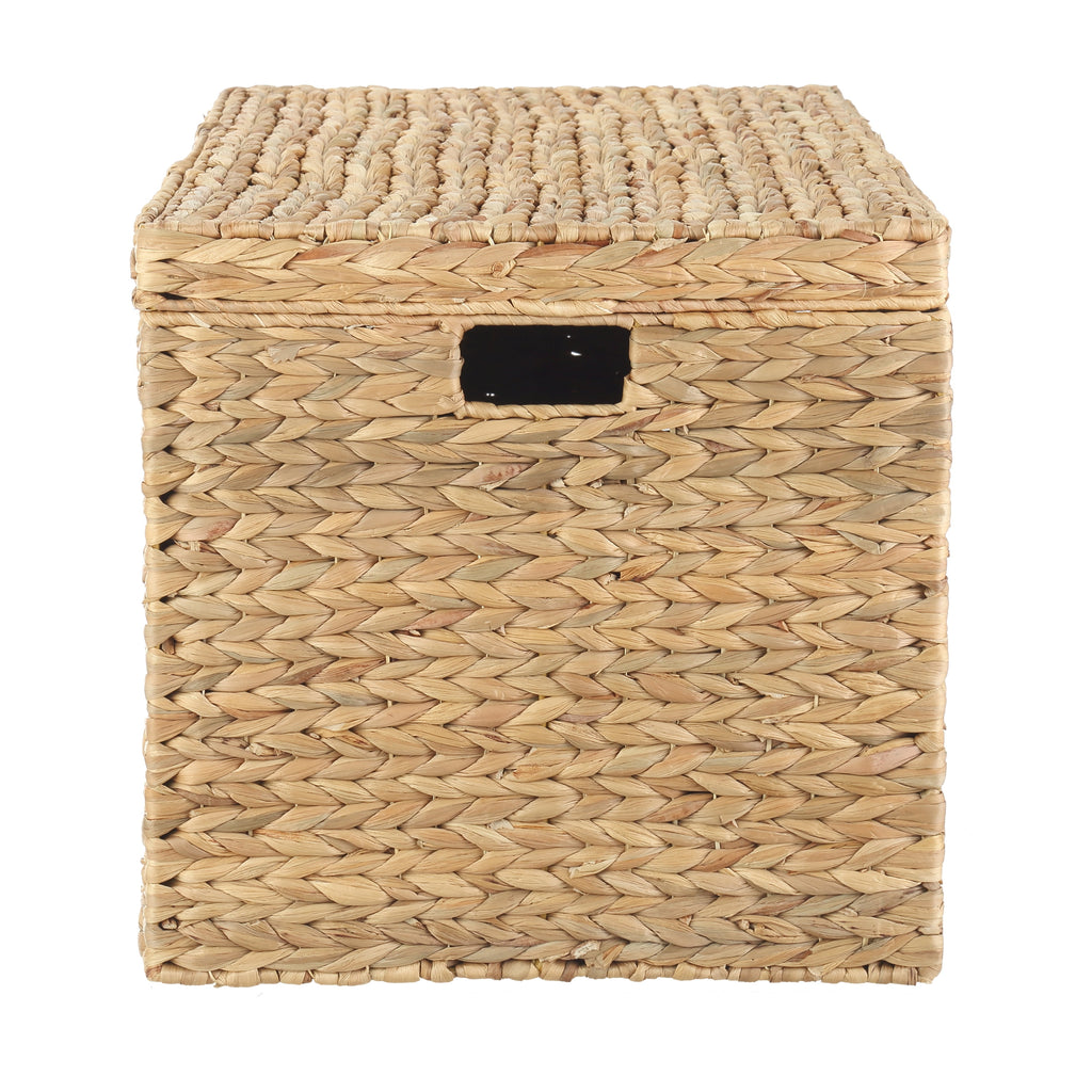 Velmora™ XL Hyacinth Storage Trunk