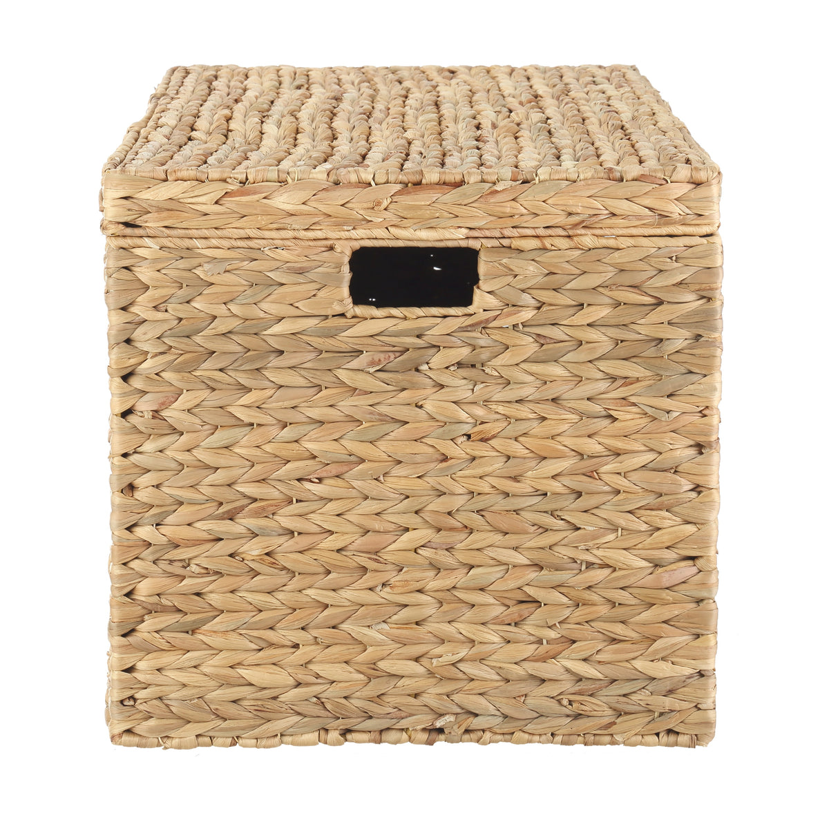 Velmora™ XL Hyacinth Storage Trunk
