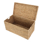 Velmora™ XL Hyacinth Storage Trunk