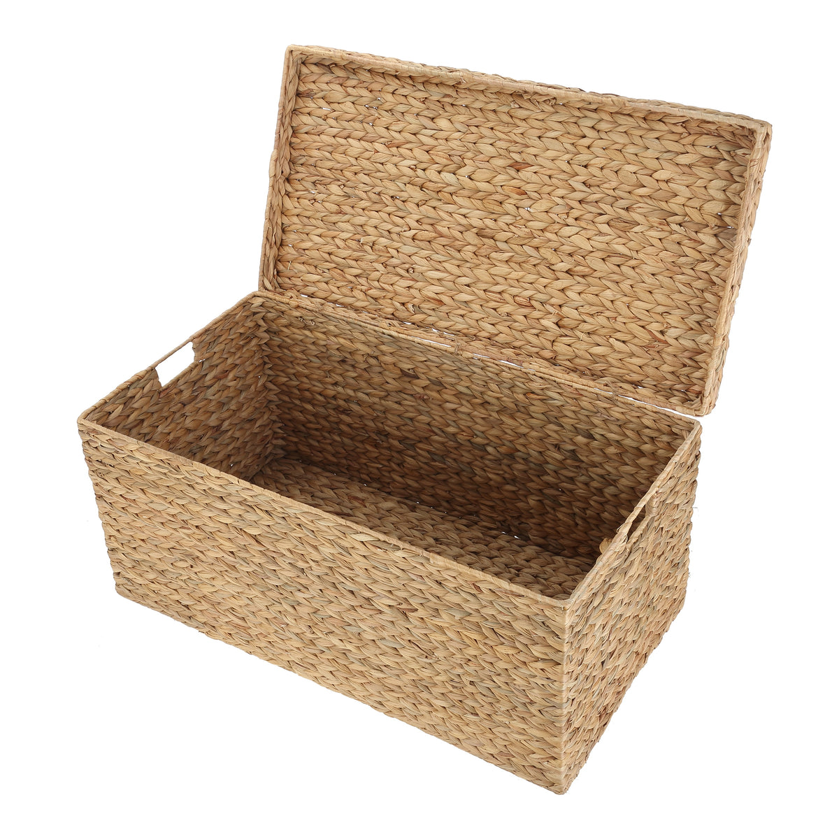 Velmora™ XL Hyacinth Storage Trunk