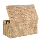 Velmora™ XL Hyacinth Storage Trunk