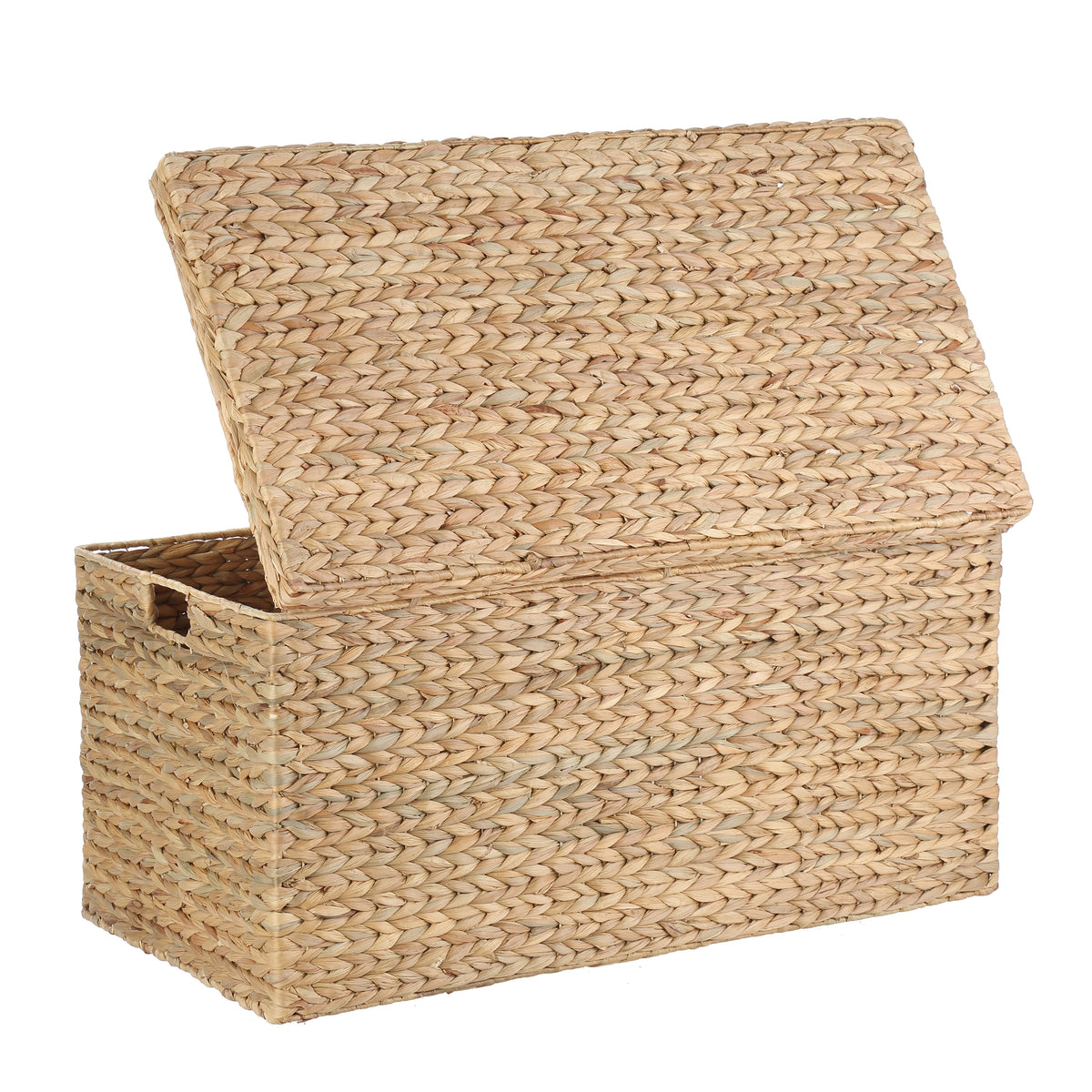 Velmora™ XL Hyacinth Storage Trunk