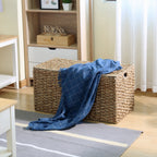 Velmora™ XL Braided Seagrass Storage Trunk
