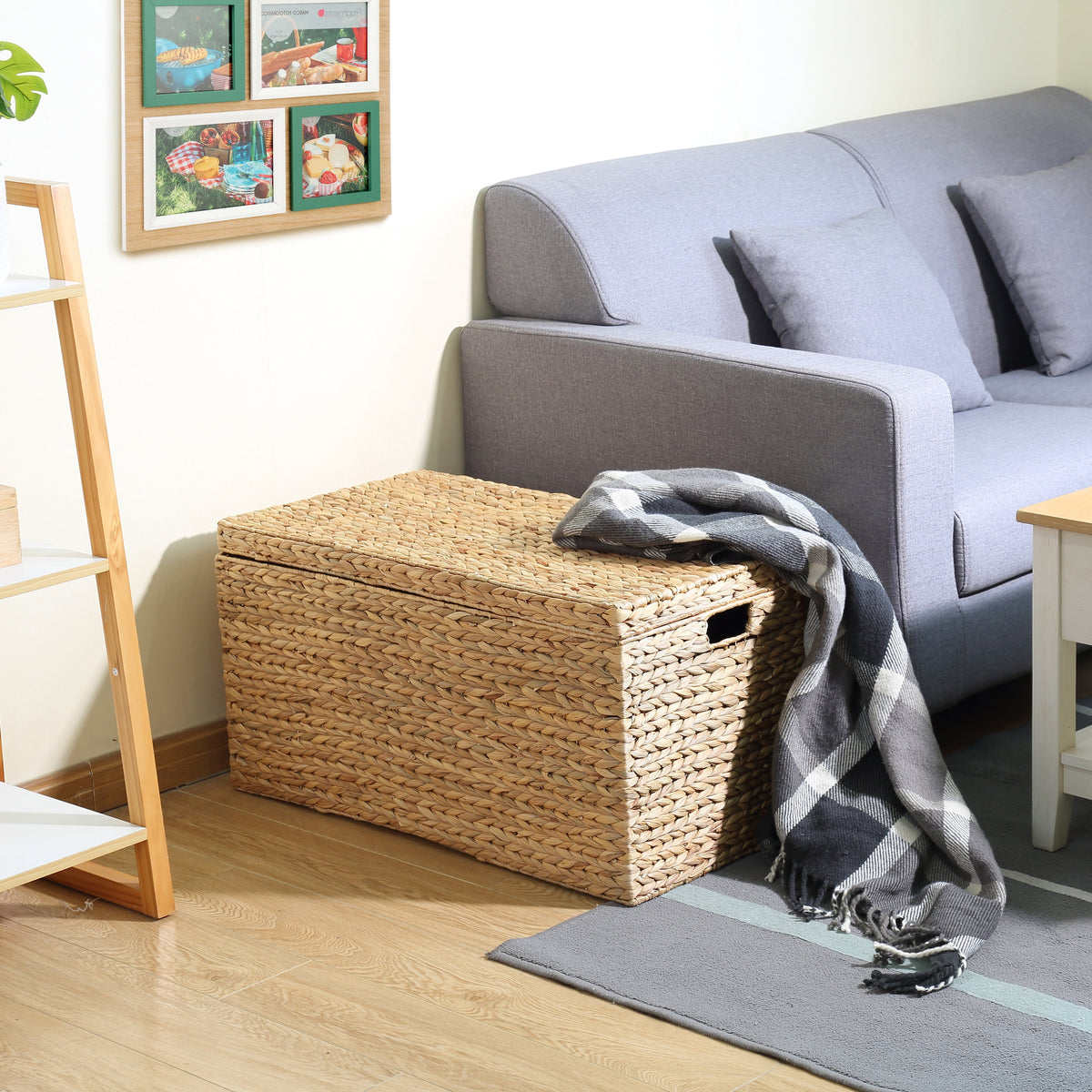 Velmora™ XL Hyacinth Storage Trunk